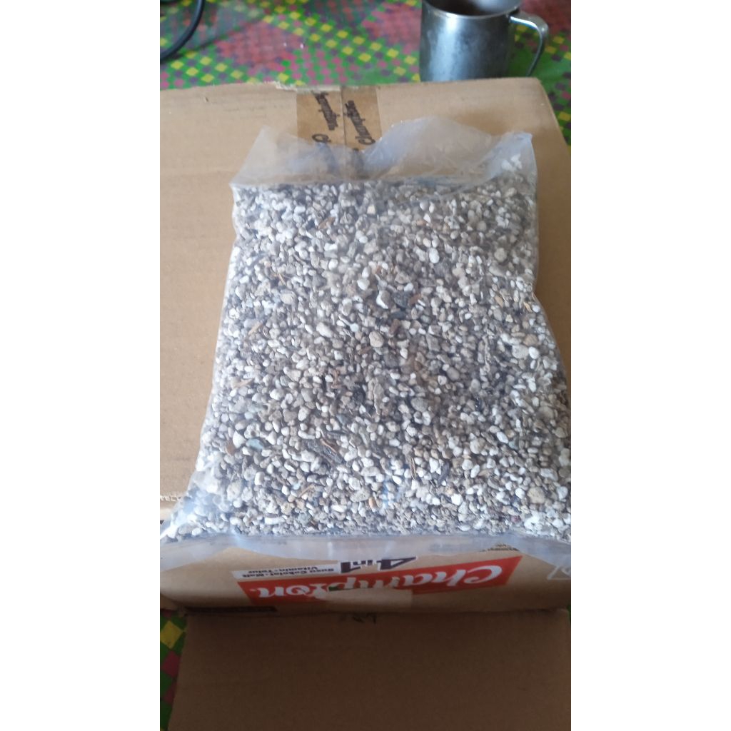 Media tanam kaktus dan sukulen siap pakai