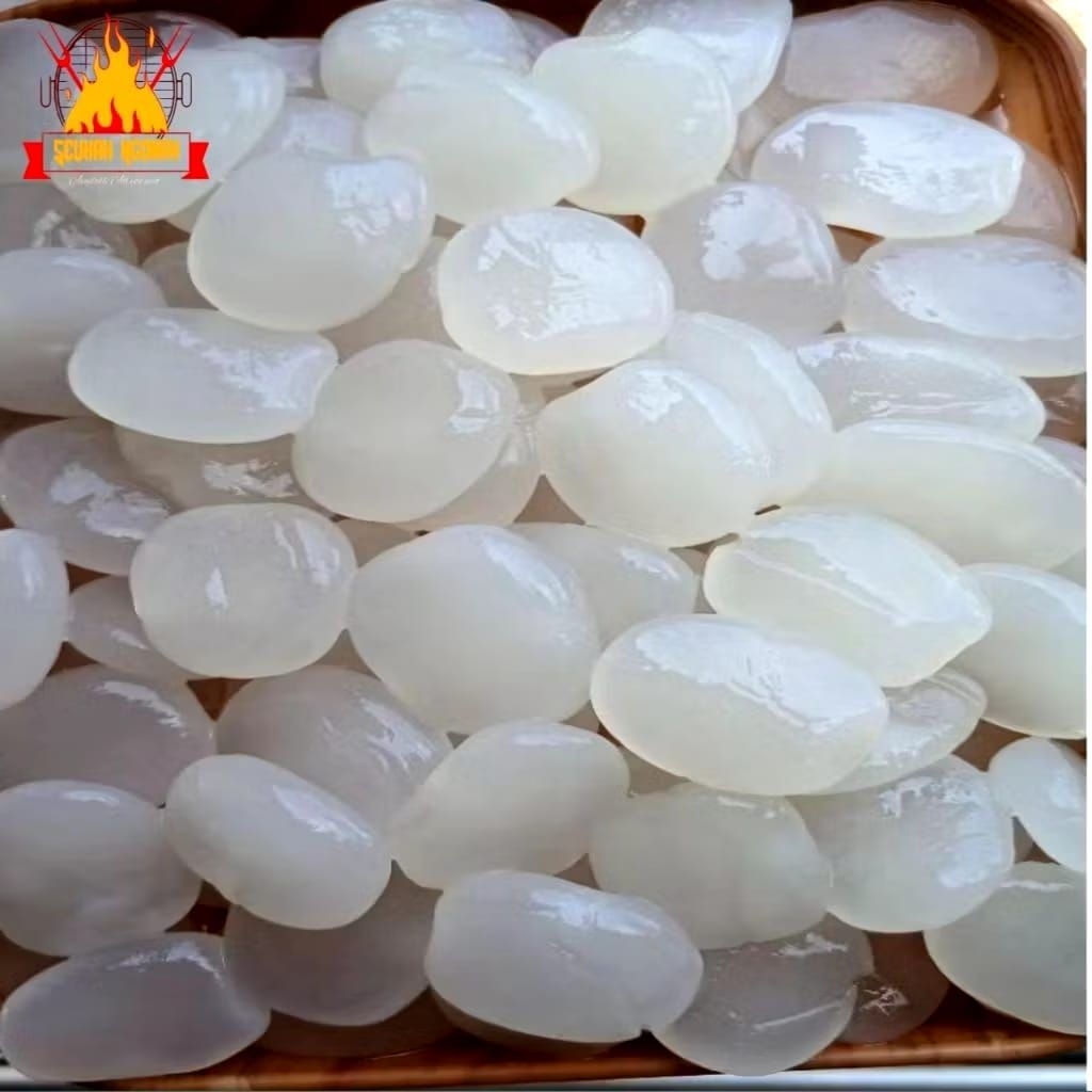 kolang Kaling super jumbo 1kg - kolang Kaling super jumbo cocok untuk buat manisan