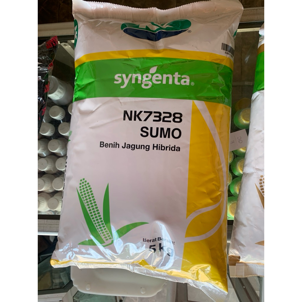 BENIH JAGUNG NK SUMO SYGENTA 5Kg