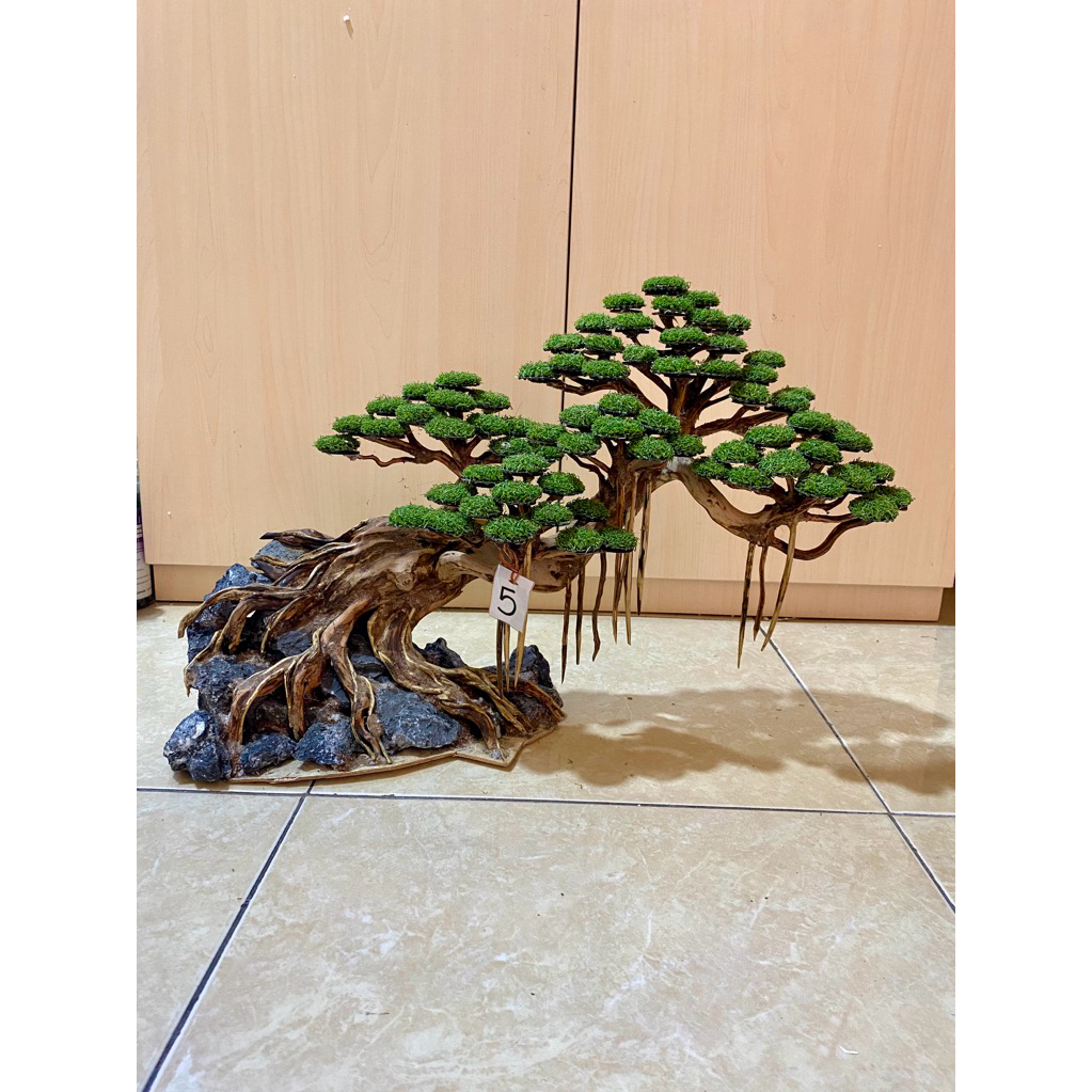 bonsai aquascape ukuran jumbo 60cm