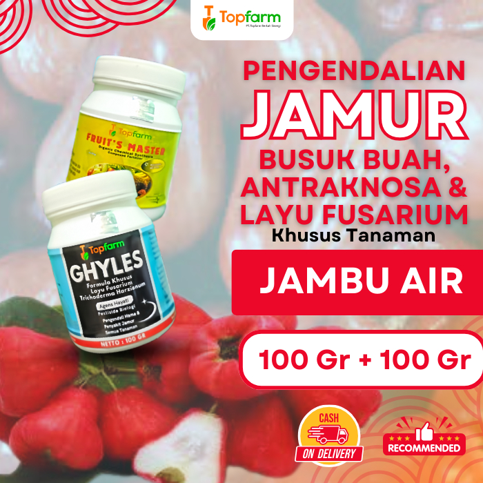 Obat Jamur Pohon Jambu Air/ Fungisida Anti Jamur Tanaman Jambu Air/ Obat Hama Akar Batang Jambu Air/