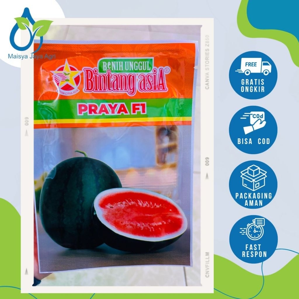 PRAYA F1/ BINTANG ASIA BENIH SEMANGKA MERAH BERBIJI 20gram