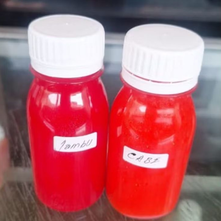 Essen Oplosan Galatama B'mas strike, 80ml, Essen oplosan Galatama ikan mas dan patin