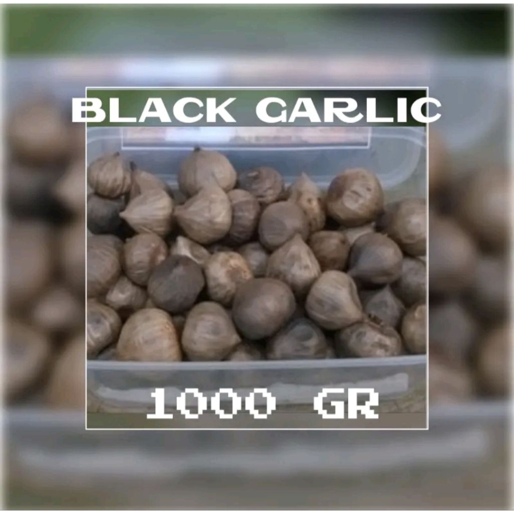black garlic bawang putih hitam tunggal bawang hitam lanang 1 kg