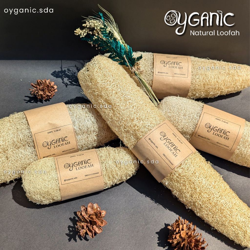 Loofah sponge cuci piring / sponge mandi | gambas | oyong | 100% alami ramah lingkungan