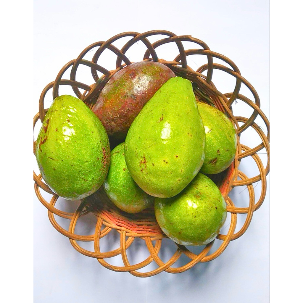 ALPUKAT MENTEGA PADANG PILIHAN 1kg/4-3BUAH