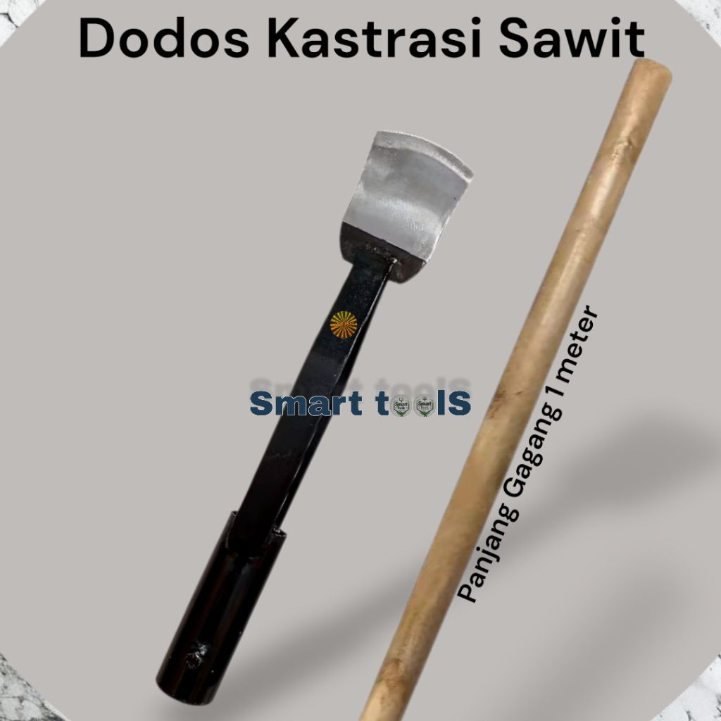 Alat kastrasi sawit dodos kastrasi sawit tajam dodos sawit asli kualitas super