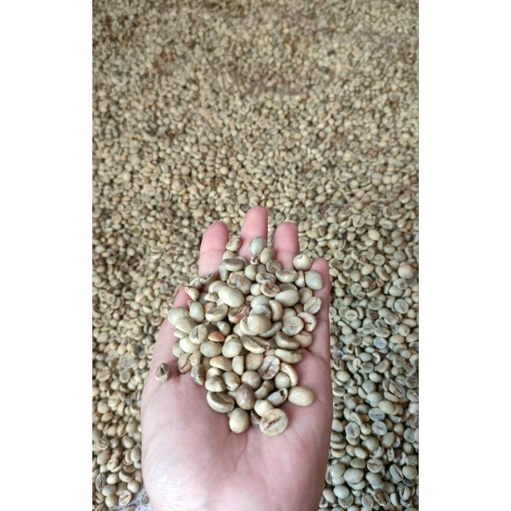 KOPI ROBUSTA KEMASAN 1KG