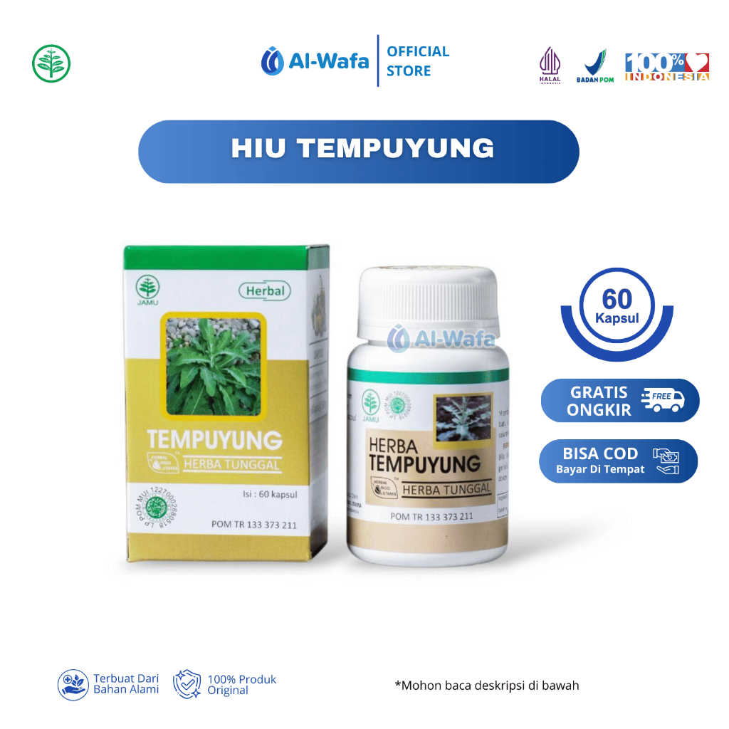 HIU Tempuyung 60 kapsul Perawatan Batu Ginjal Batu Empedu