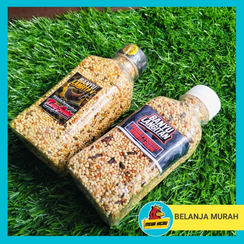 pakan perkutut banyu Langitan herbal alami