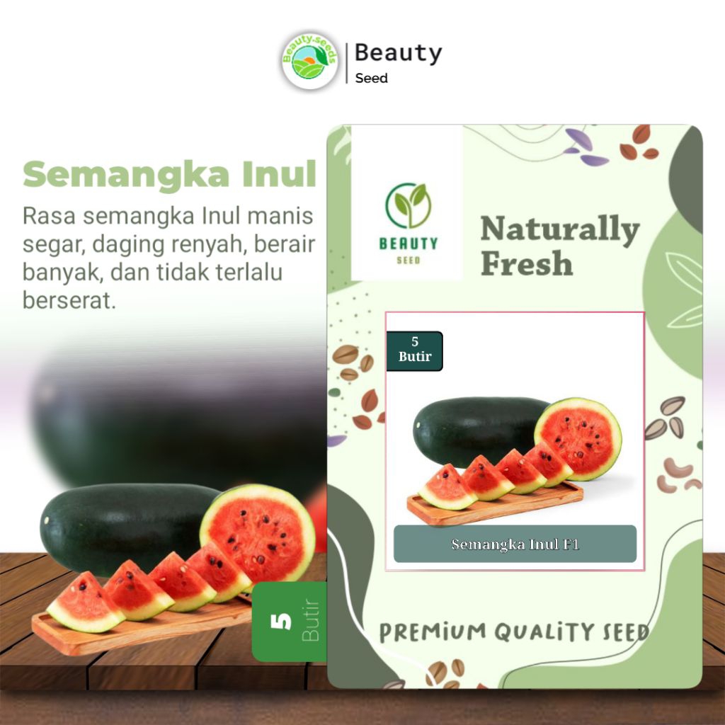 Benih Semangka Inul Merah Mardy F1 Bibit Buah Semangka Lonjong