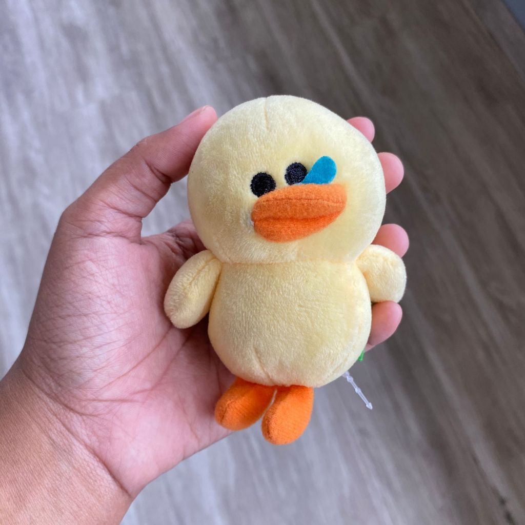 ❗BACA DESKRIPSI❗ Sally Line Friends Ganci Ingus