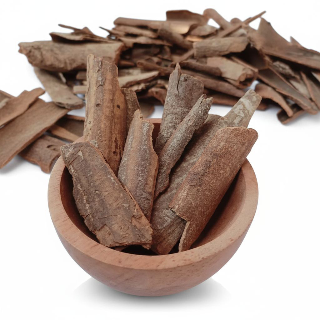 Kulit Kayu Masoyi Masohi Masoi