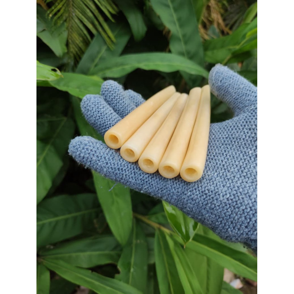 once tulang sapi tebal superan berkualitas import