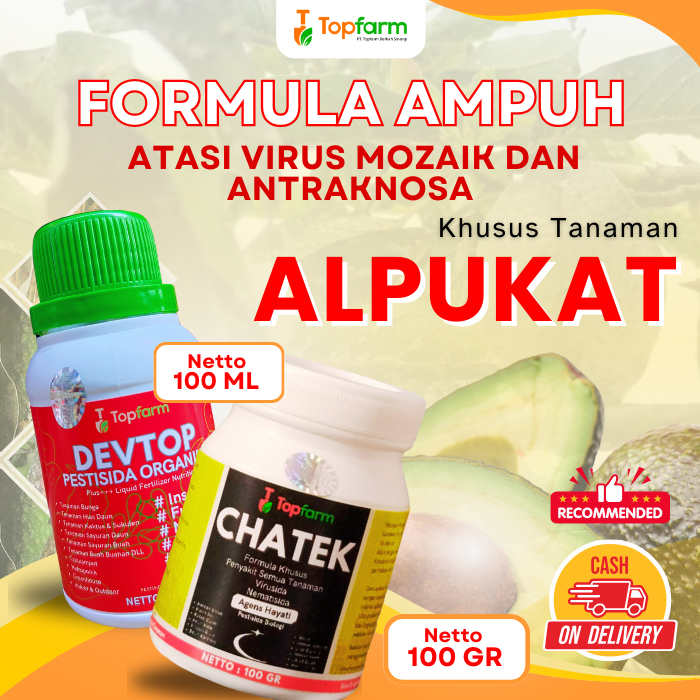 Pestisida Alpukat / Obat Hama Alpukat / Obat Hama Daun Alpukat / Obat Hama Ulat Daun Alpukat / Obat 