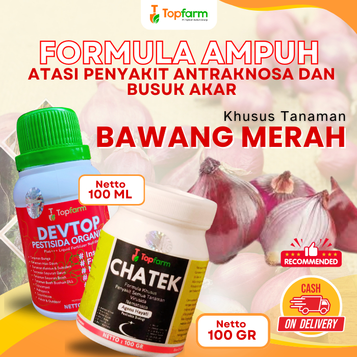 Pestisida Bawang Merah / Obat Hama Bawang Merah / Pestisida Obat Hama Bawang Merah / Obat Hama Bawan