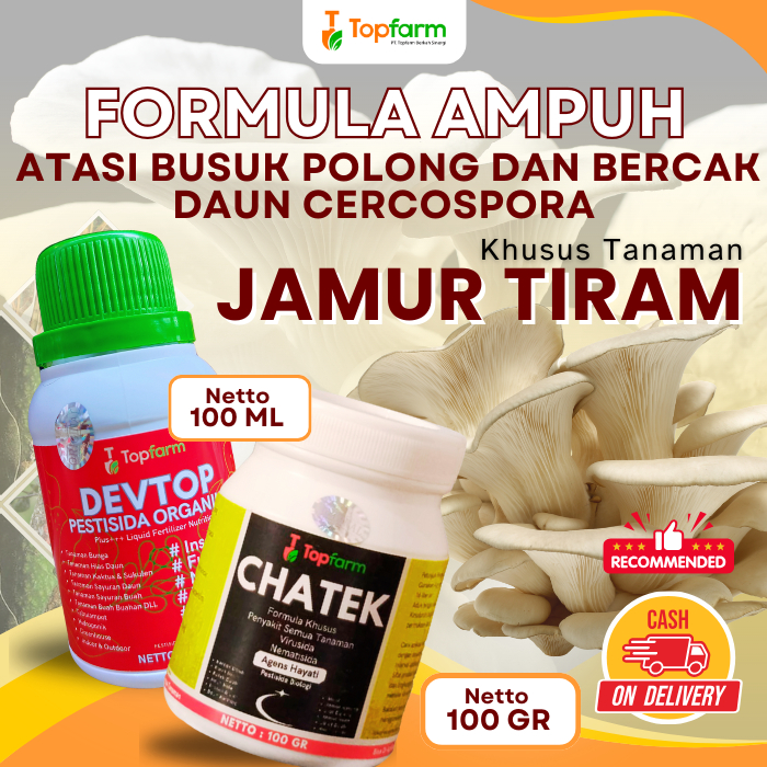 Pestisida Jamur Tiram / Obat Pembasmi Hama Jamur Tiram / Pembasmi Gurem Jamur Tiram / Obat hama Untu