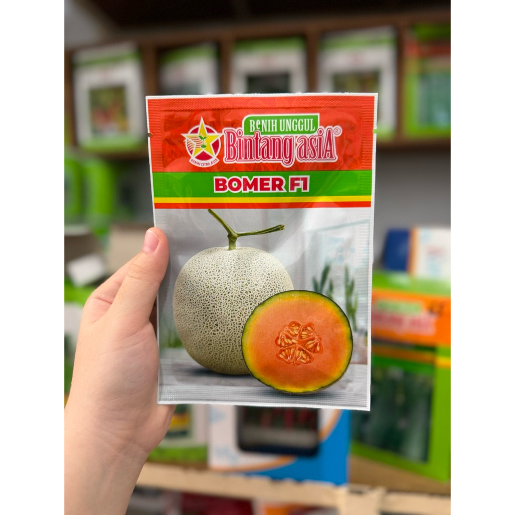 Bomer F1 bibit melon