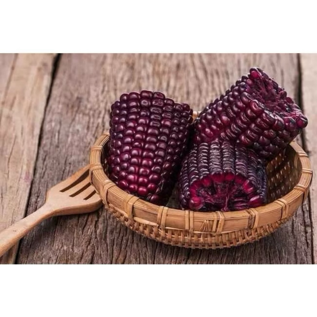 Jagung Pulut Ketan Ungu Tua Pipil Kering 500gr Siap Konsumsi atau Bisa Ditanam Lagi