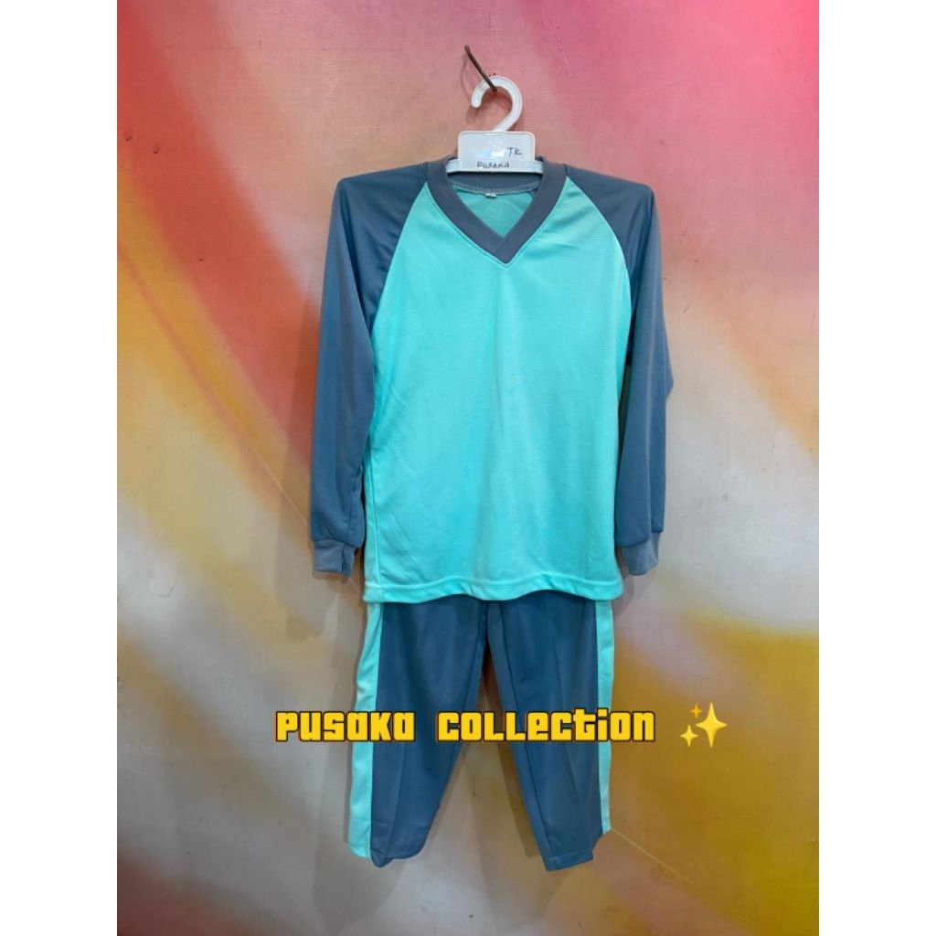 Baju olahraga sekolah anak SD biru wardah