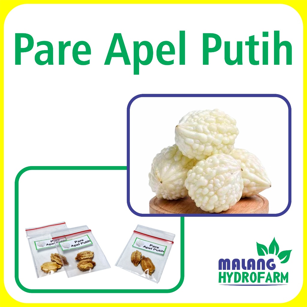 Benih Pare Apel Putih Unggulan Berkualitas biji bibit repack sayur sayuran paria white pir balsam hy