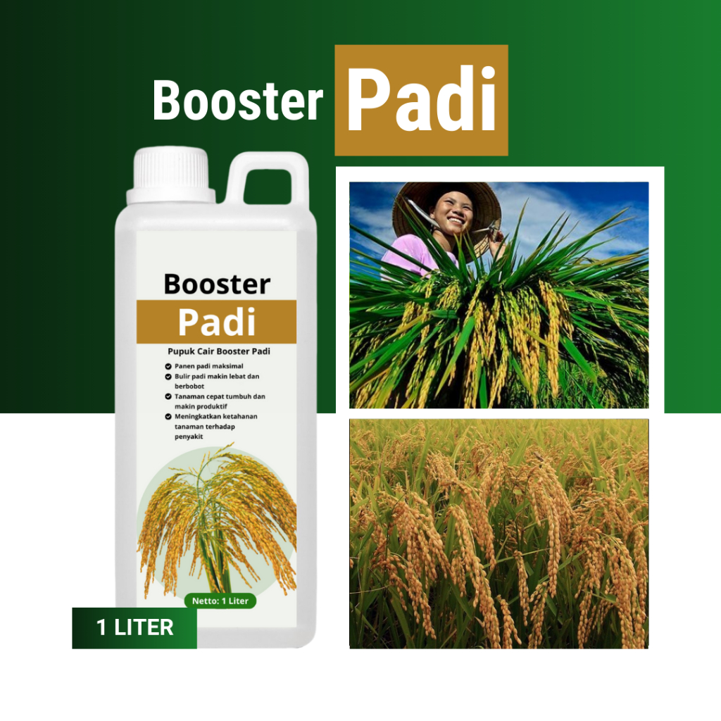 Booster Padi 1 Liter Pupuk Cair Organik untuk Tanaman Padi