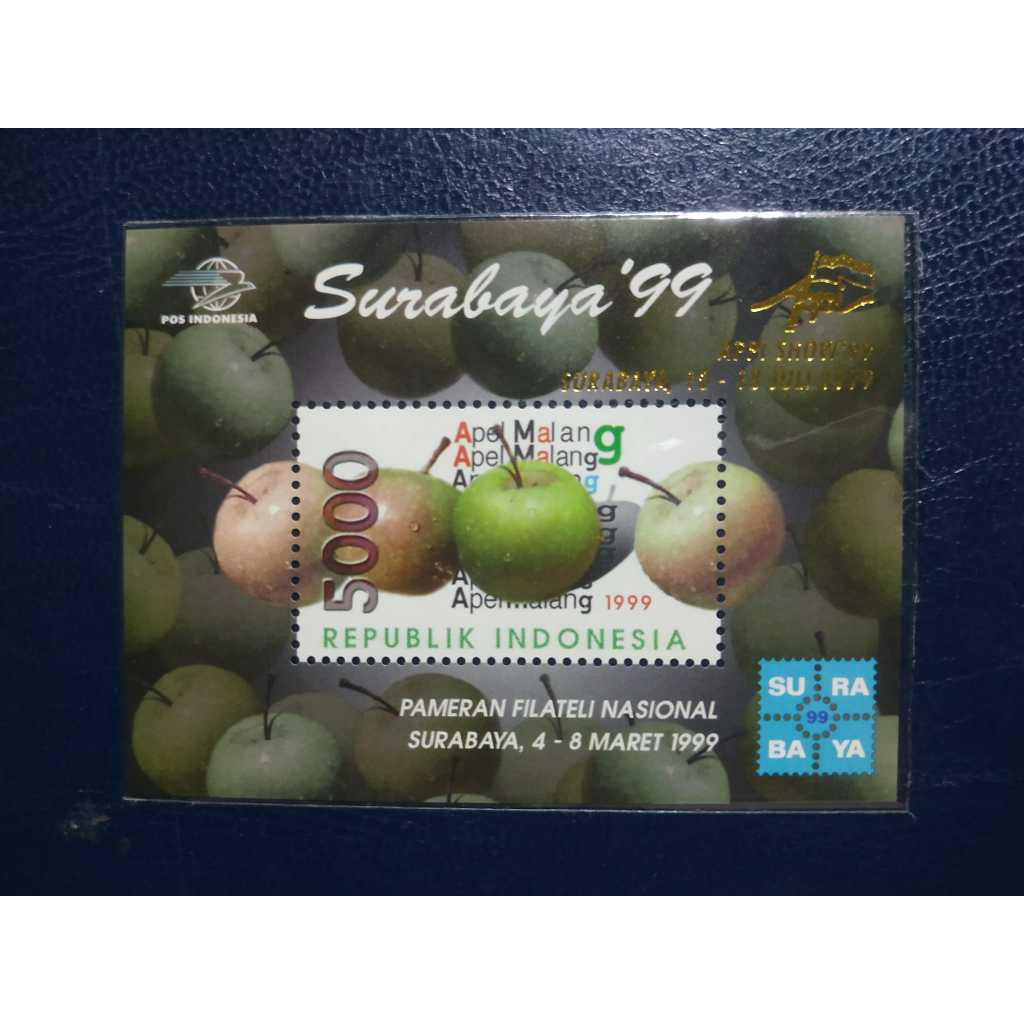 Prangko Indonesia - SS Indonesia SS 178 Dasawarsa APPI 1999