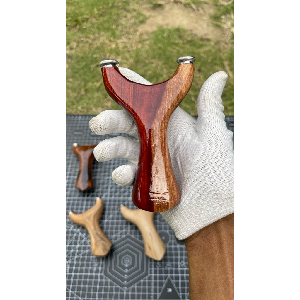 ketapel kayu rengas belang