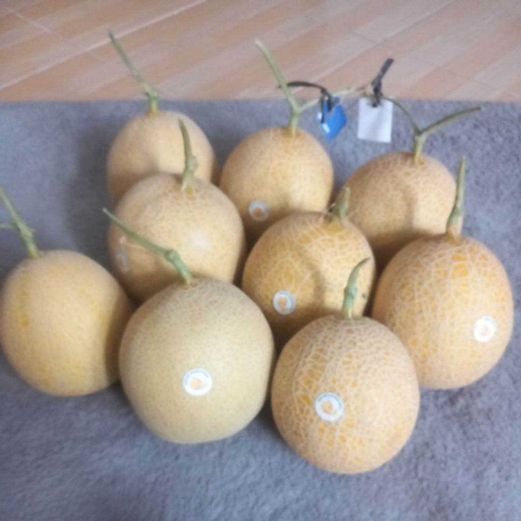 melon inthanon/golden emerald