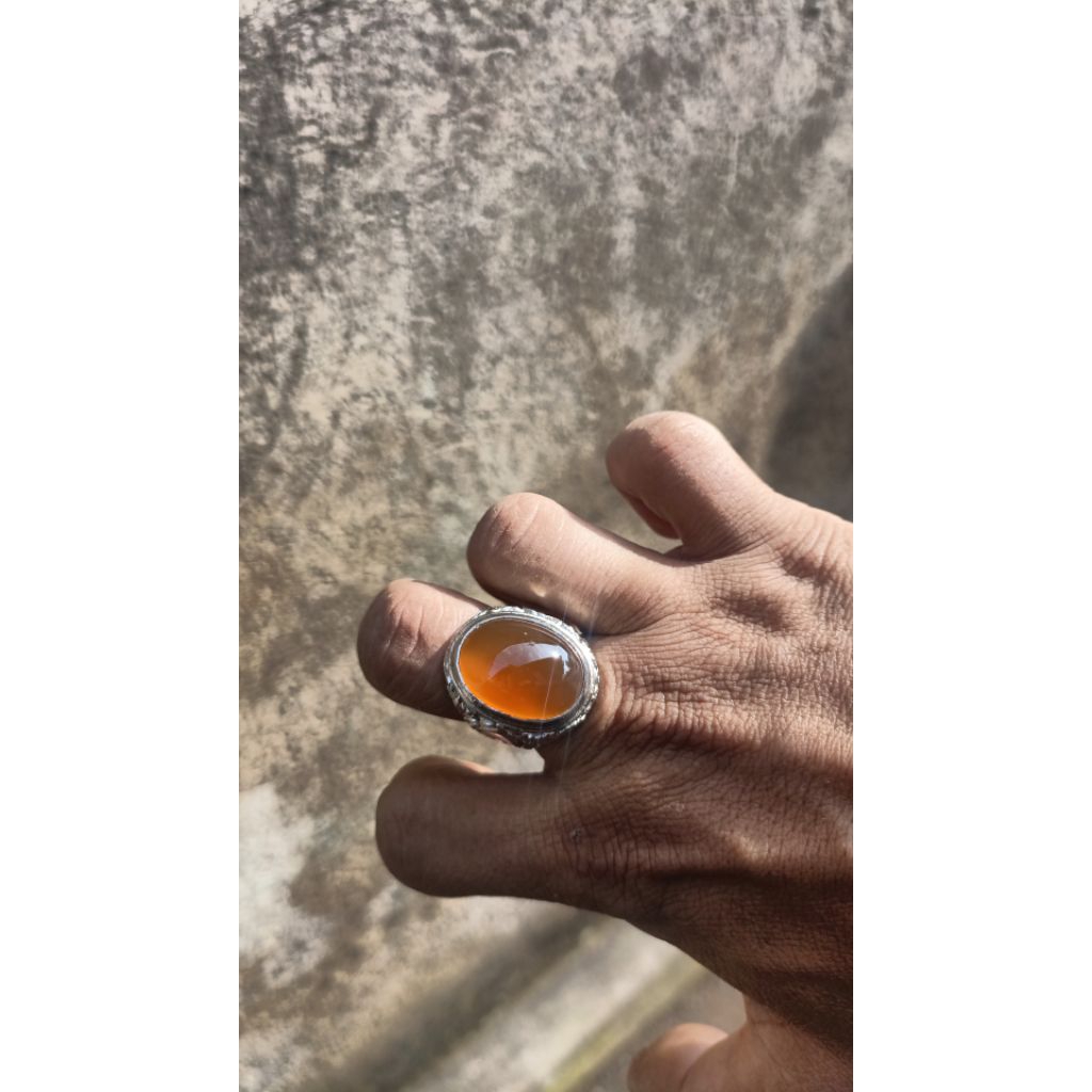 Batu raflesia bengkulu