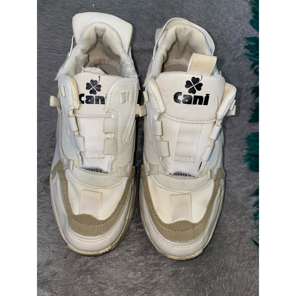 sepatu cani