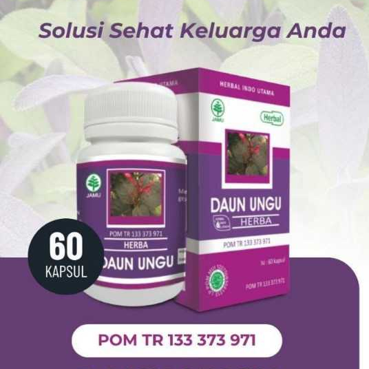 Daun Ungu Herbal Remedy for Hemorrhoids