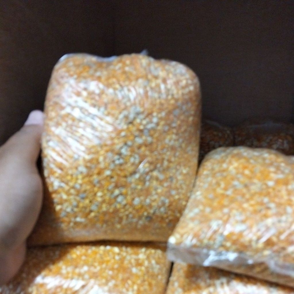 jagung pecah