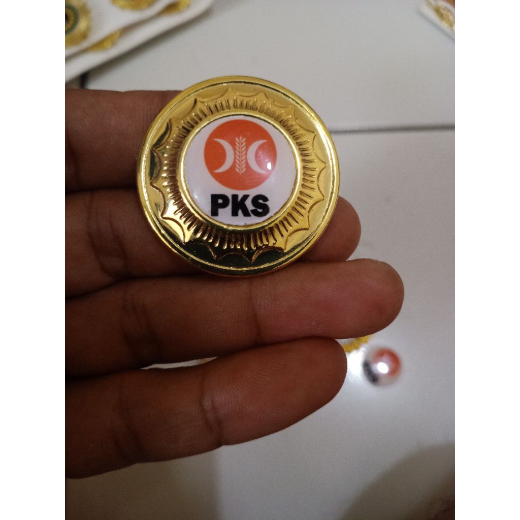 pin magnet logo PKS