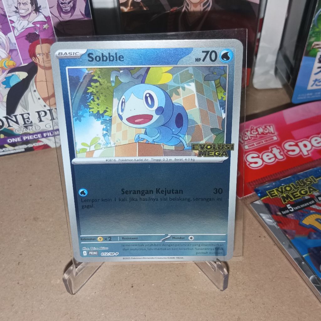Kartu Promo Set Special Pokemon TCG Indonesia