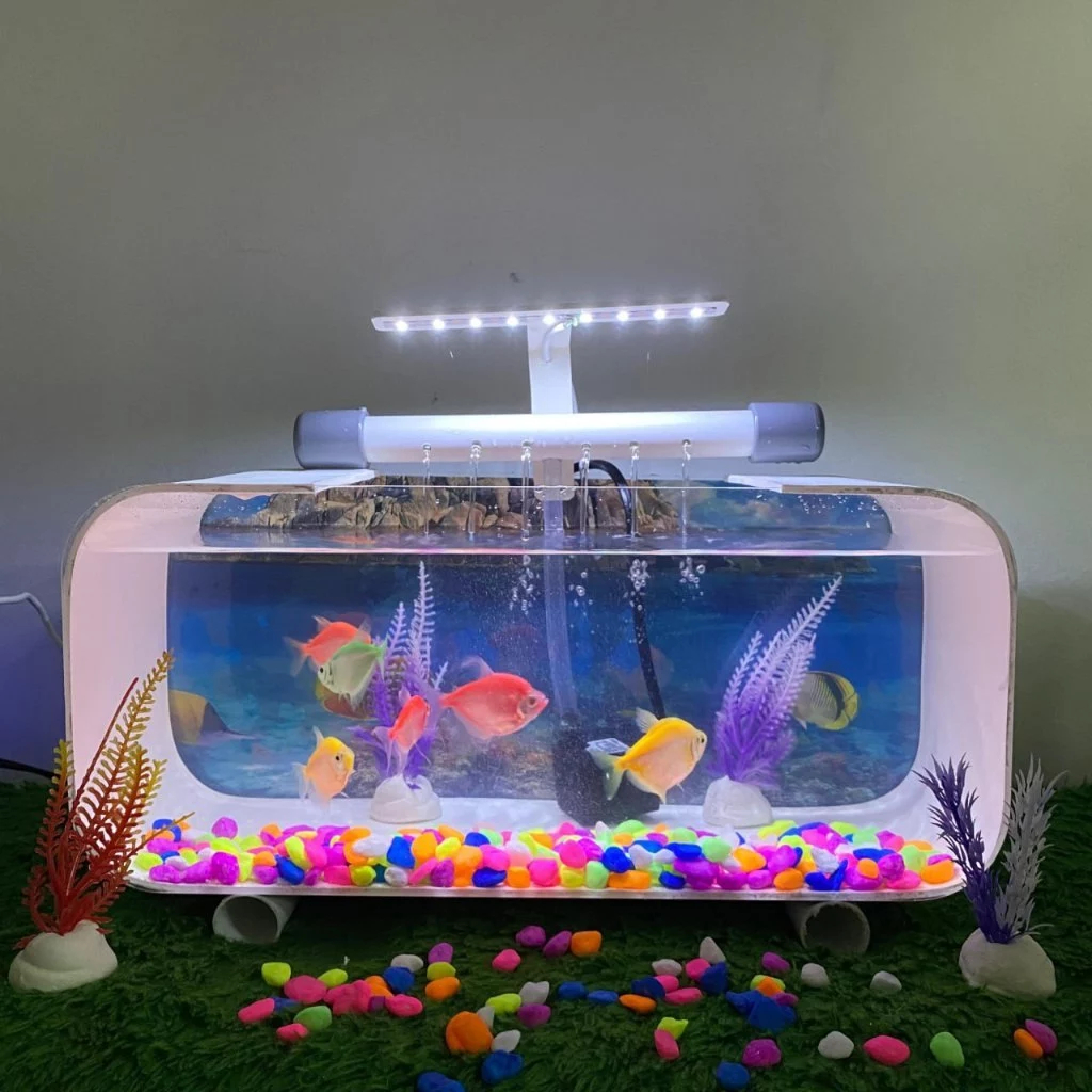 Aquarium Mini Aesthetic Full Set untuk Meja Ruang Tamu 35CM Persegi