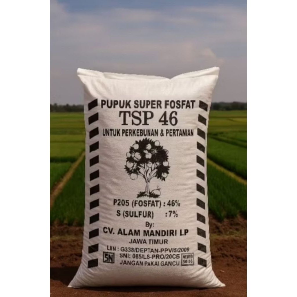 pupuk super fosfat TSP 46 granular 1kg