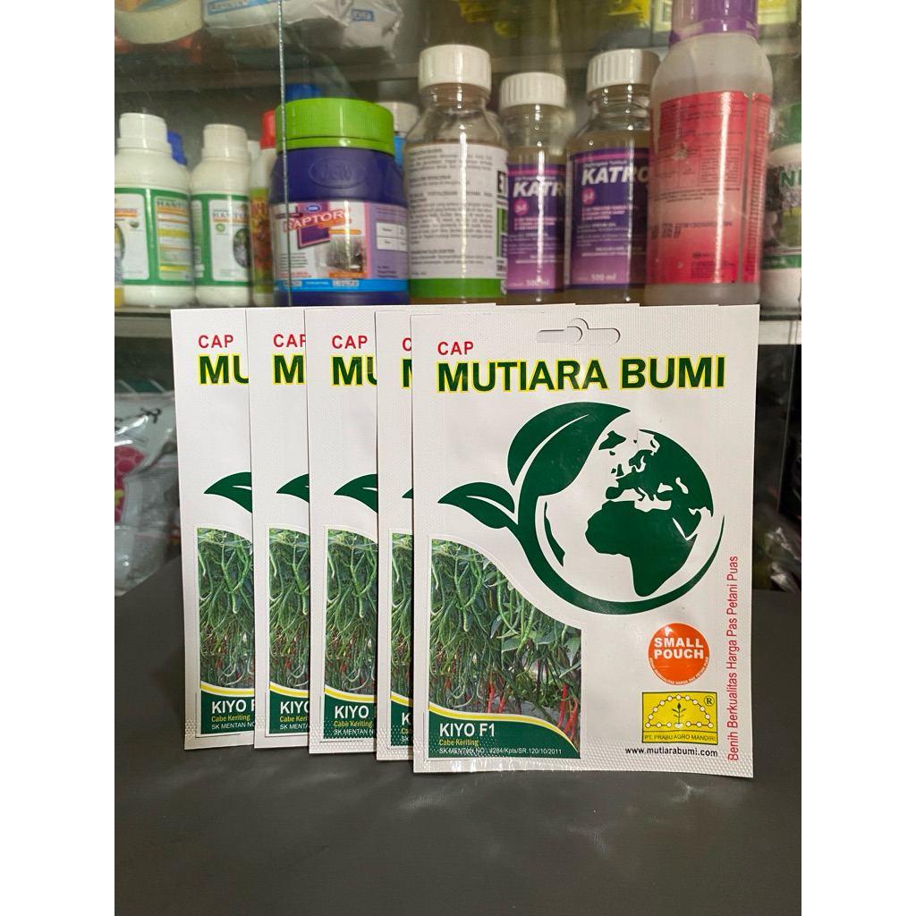 Bibit cabe Keriting Kiyo F1