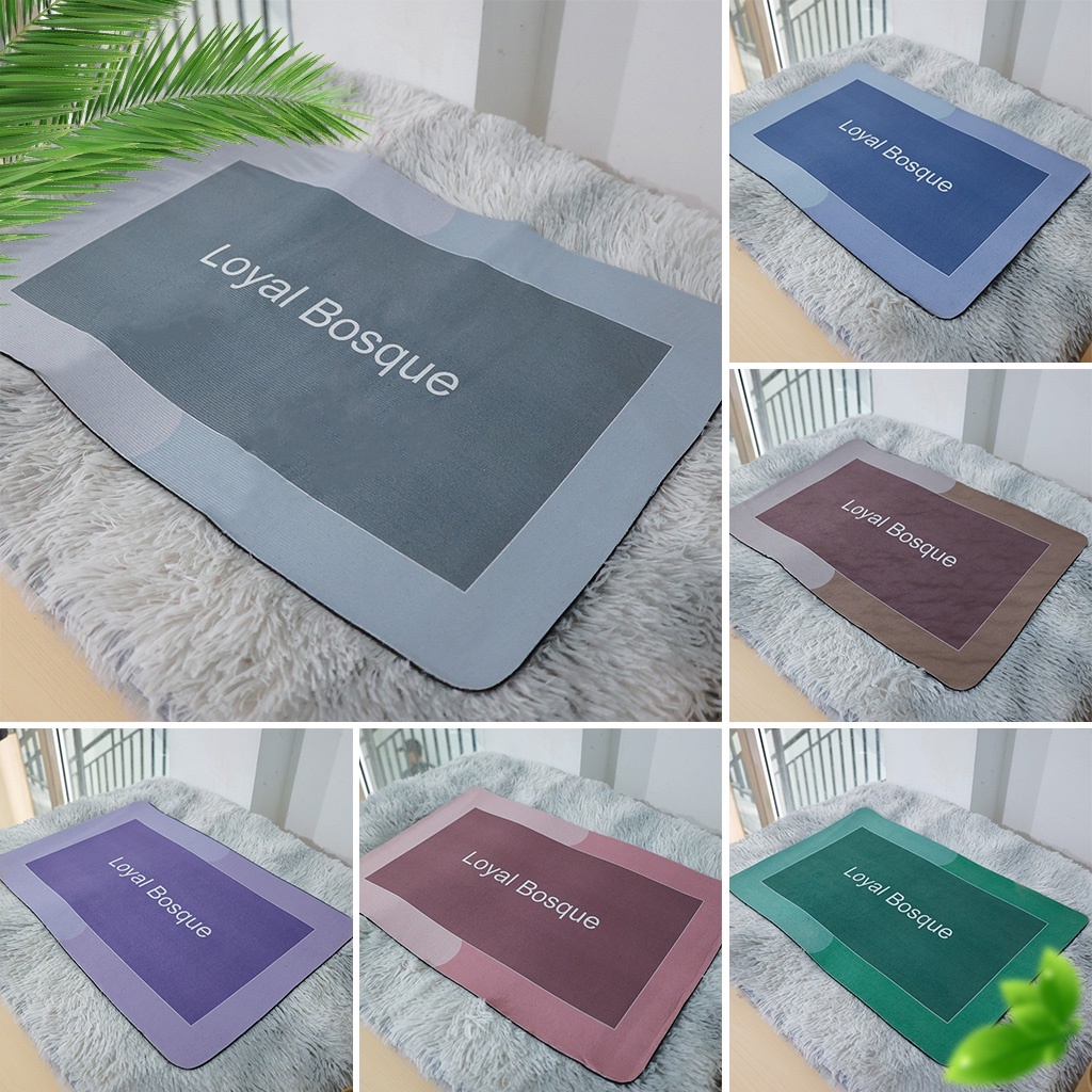 Keset Kaki Lantai Anti Slip Persegi Tufted Nylon 40X60 Cm Menyerap Air DD-2D