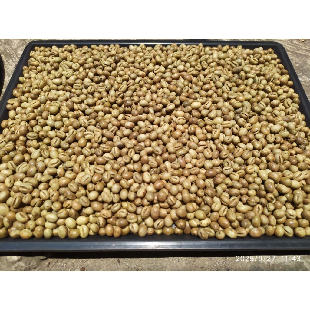 Peaberry Robusta (Kopi Lanang Robusta) Per 1000g (1Kg)