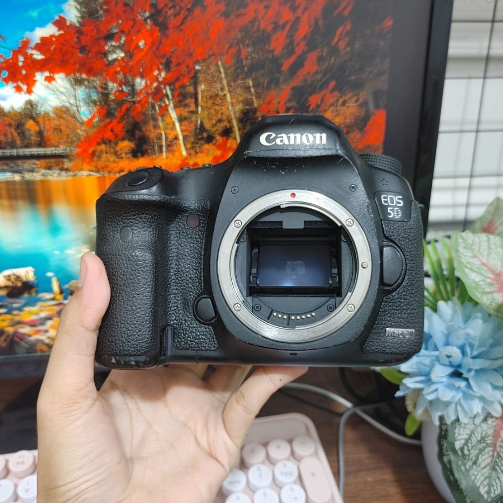 Canon 5D Mark III SC 230k