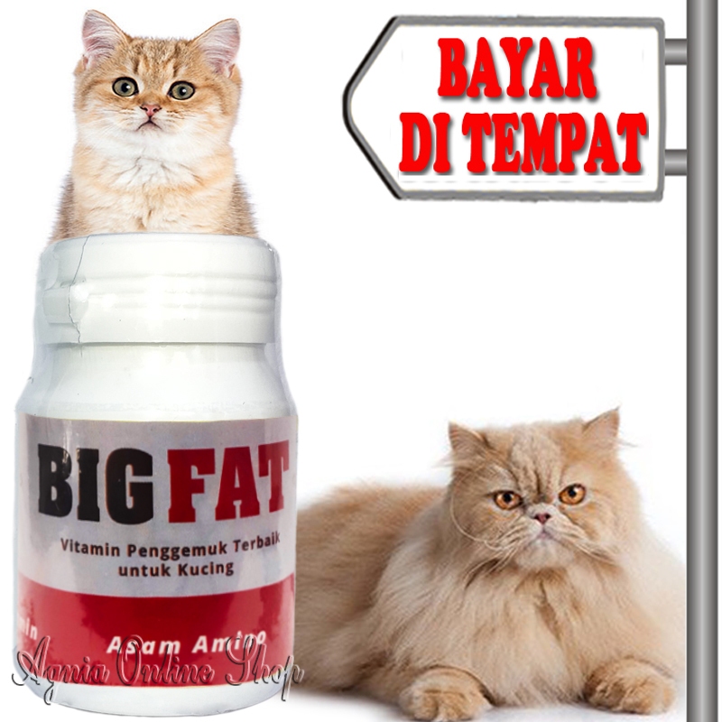 Booster Penggemuk Kucing Pebambah Berat Badan Vitamin Big Fat Caps