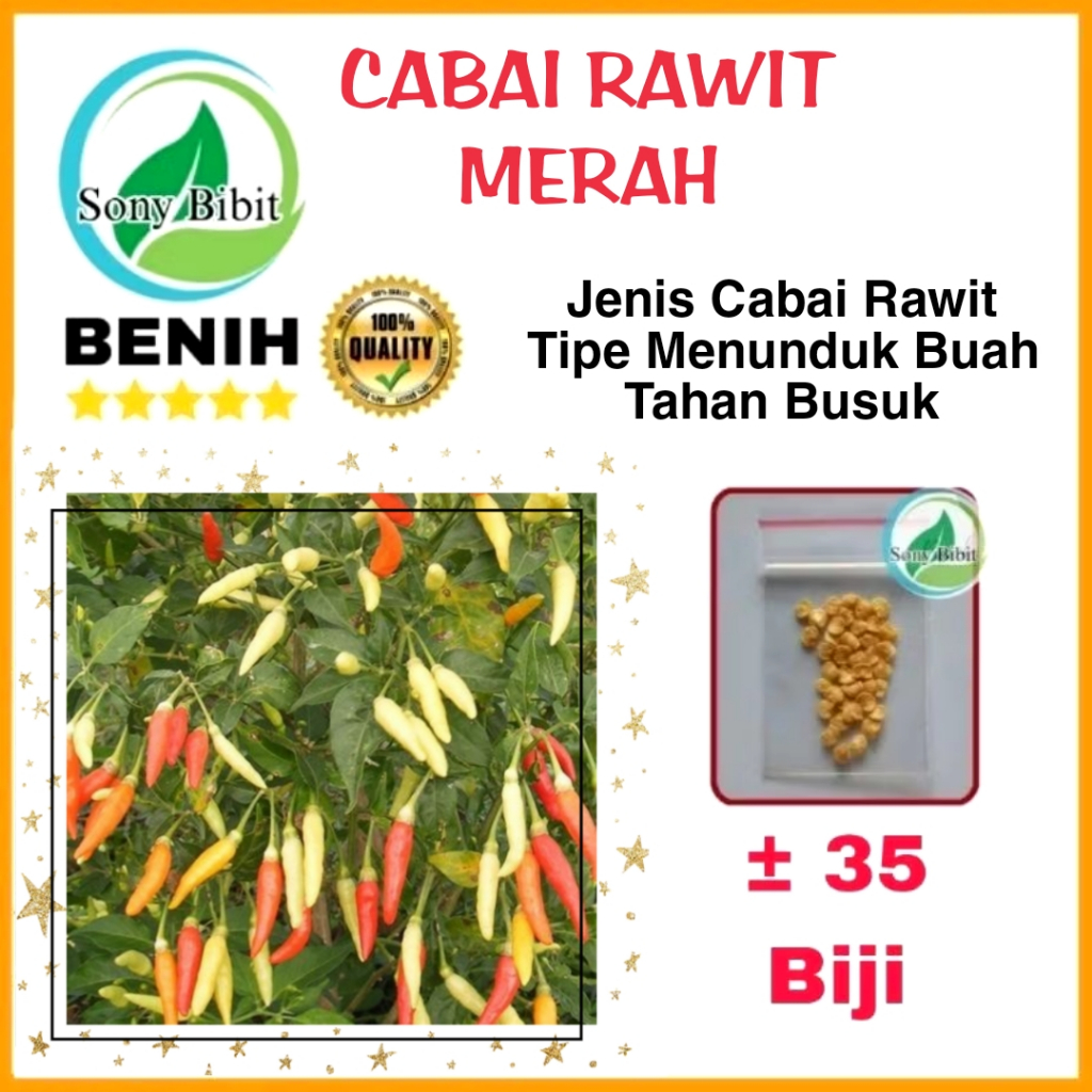 Benih Cabai Rawit Merah Kamelia Rusa Benih Unggulan