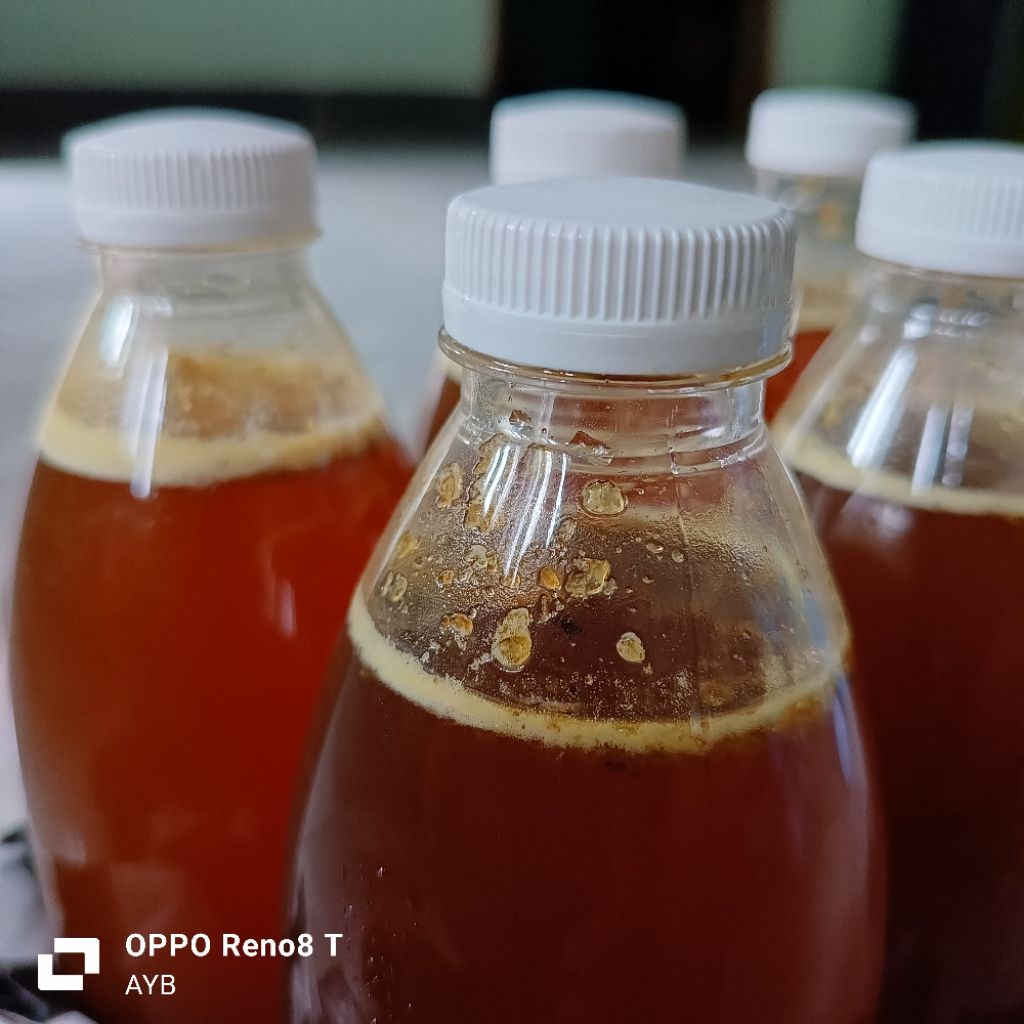 madu hutan asli pulau sumbawa 500ml