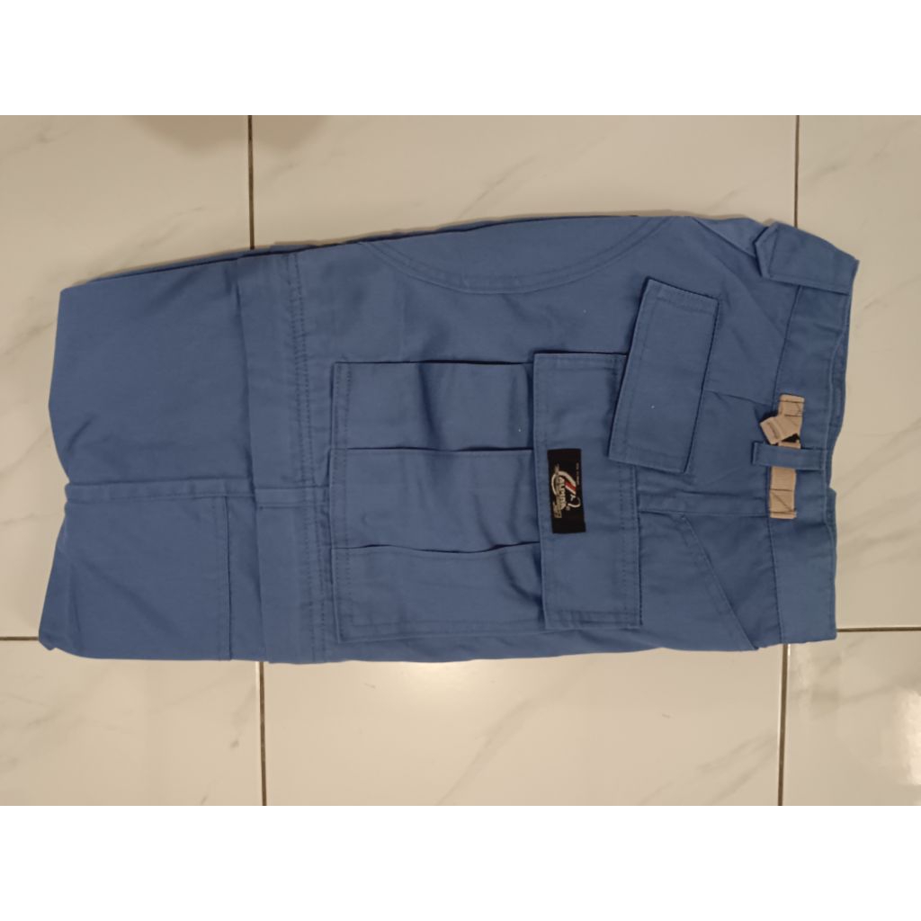 Alpina celana Cargo panjang harian