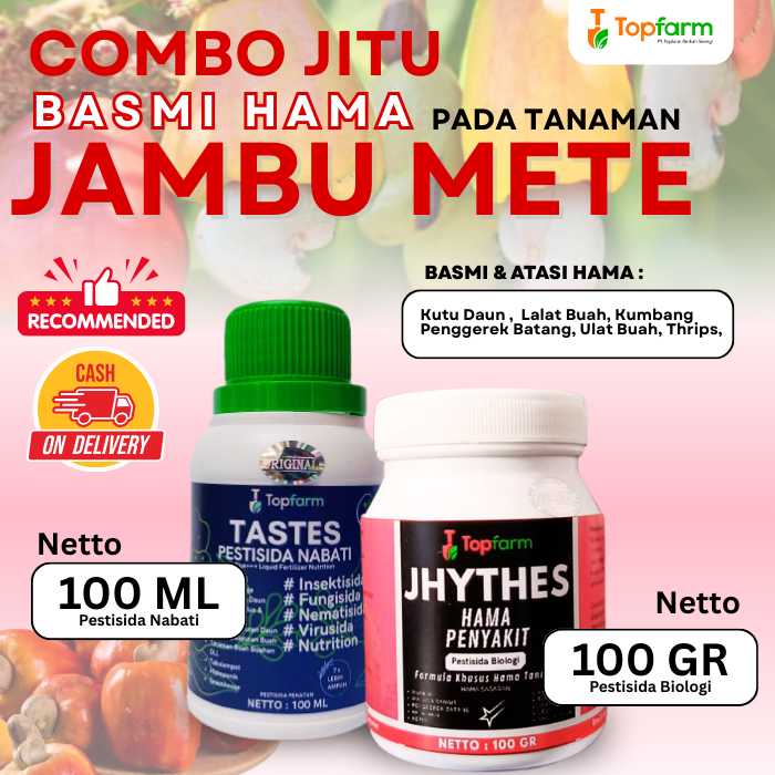 Insektisida Buah Jambu Mete / Obat Hama Buah Jambu Mete / Obat Hama Pembasmi Lalat Buah Jambu Mete /