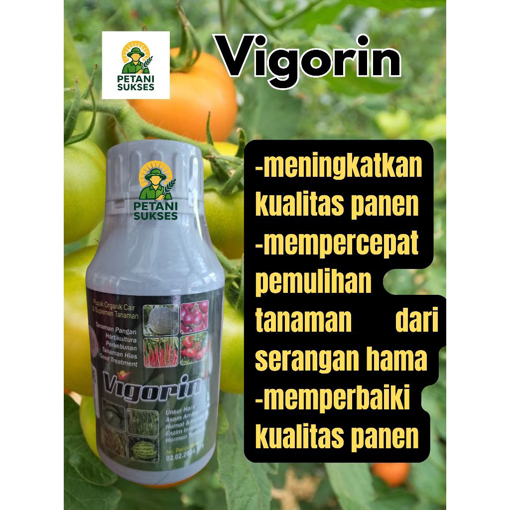 VIGORIN 500 ml