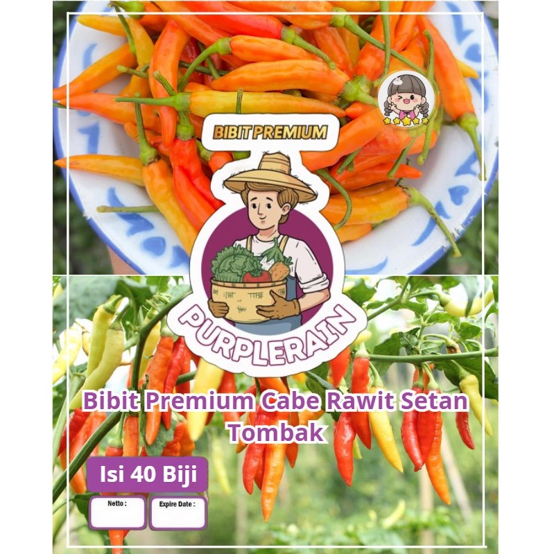 Bibit Premium Cabe Rawit Setan | Biji Benih Cabai Rawit Setan | cABAI