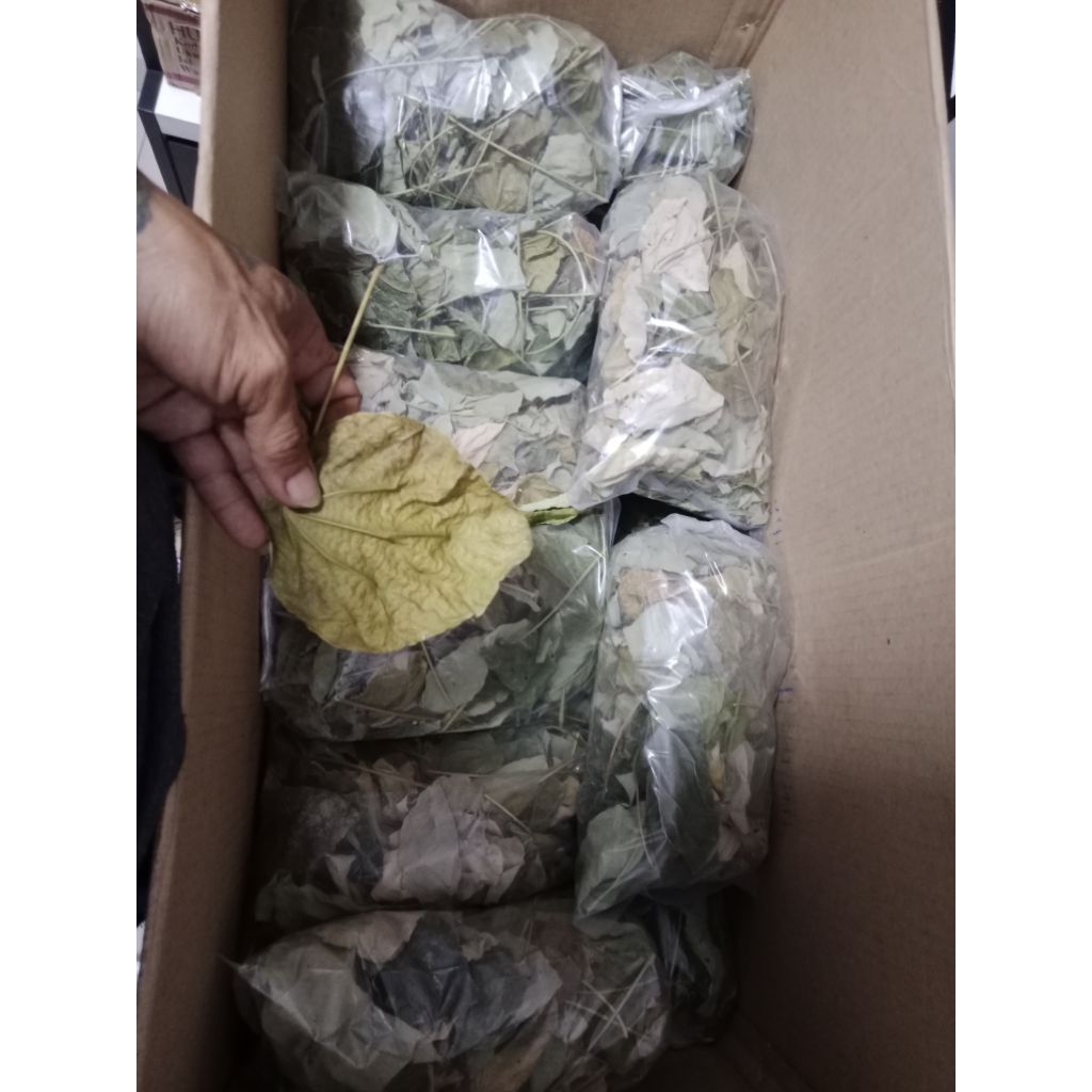Daun pat kua kering 500gr/ pakua / pak kua/ pakwa / arak gosok / tanaman herbal