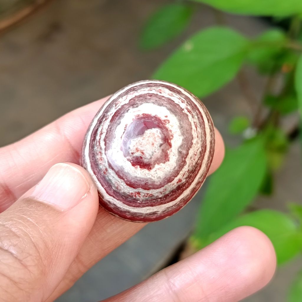 Natural Batu Akik Antik Motif Pusar Bumi / Akik Gambar Pusar Bumi